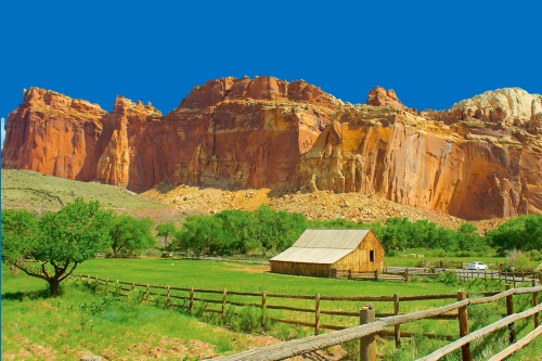 Capitol Reef FRuita